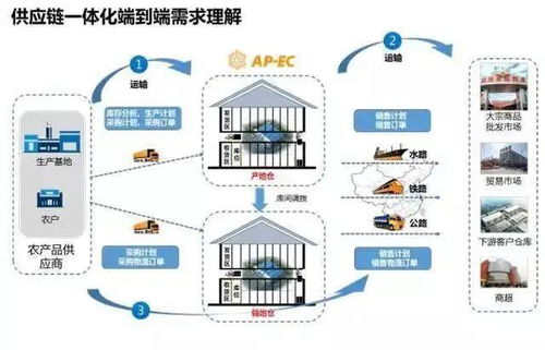 冷链委副院长虞毅峰教您打造企业专属供应链